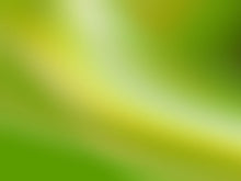 Cargar imagen en el visor de la galería, free-blurred-green-background-Google-Slides-theme
