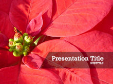 Load image into Gallery viewer, free-christmas-flowers-PPT-template
