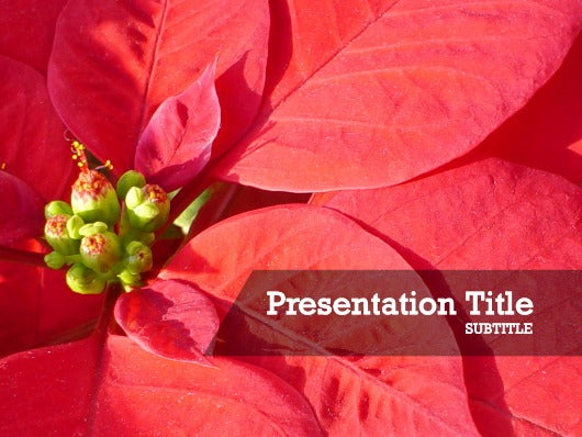 free-christmas-flowers-PPT-template