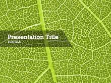 Load image into Gallery viewer, free-green-leaf-PPT-template
