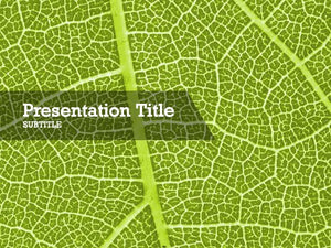 free-green-leaf-PPT-template