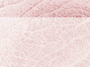 free-pink-skin-powerpoint-background