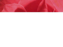 Cargar imagen en el visor de la galería, free-valentines-flowers-powerpoint-template
